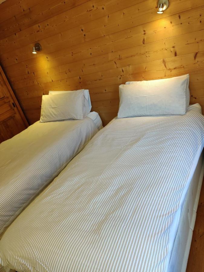 Spacious Ski Chalet In Traditional French Village, Sleeps 8, Four Star With Fibre Broadband Abondance Extérieur photo
